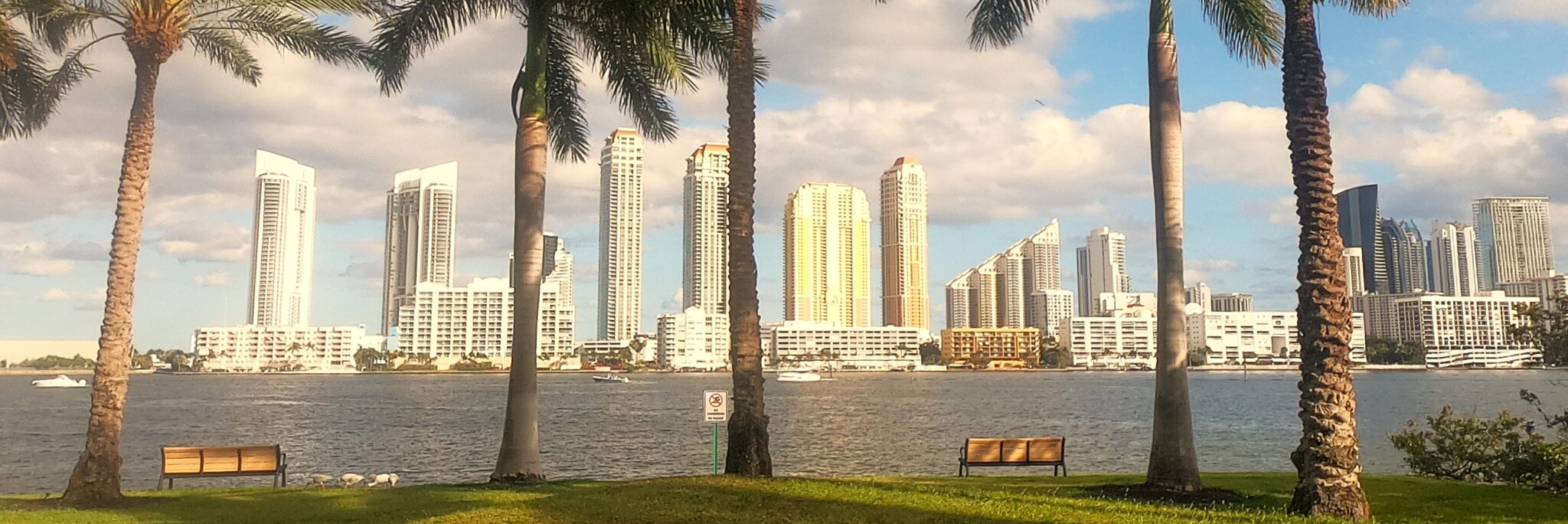 DCIM101GOPROGOPR0046.JPG